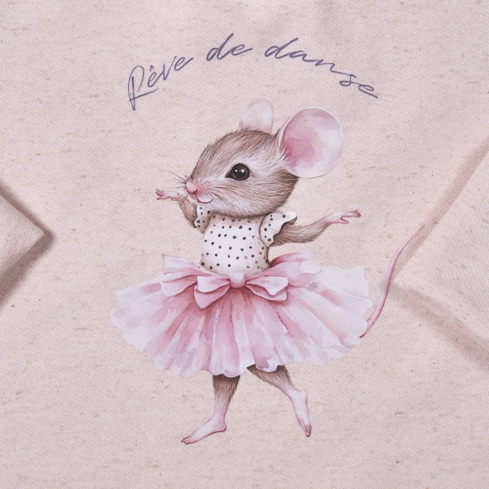 Agasalho Moletinho Rosa Mescla Estampa Ballet TD126